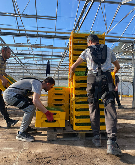 Workers with Skelex exoskeleton