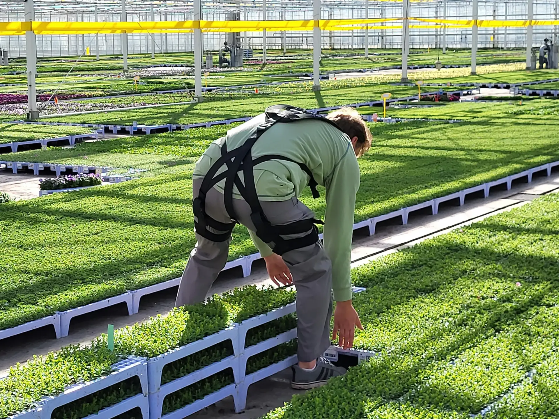 Workers with Skelex exoskeleton